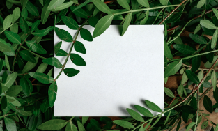 Bhavani Paper Mart (BPM), Mandya